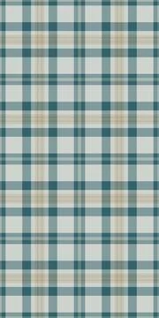 Summertime vector texture check, basic fabric plaid background. Paint patte.. 库存插图