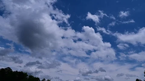 SummerWeatherTL Stock Footage 244499151