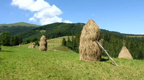 Summery Carpathians Stock Footage 491006