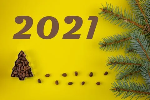Summing up the results of 2021. A tree of pine nuts on a yellow background an Stock Photos