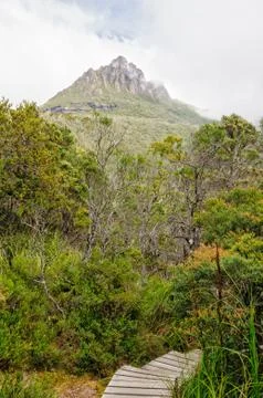 Summit - Cradle Mountain Stock Photos