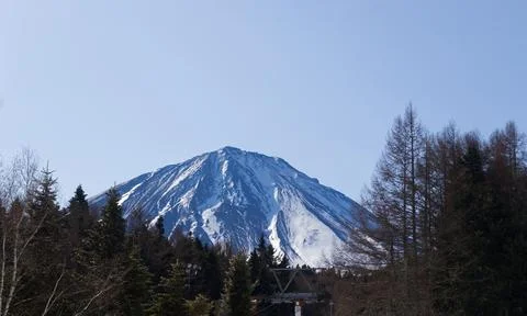 The summit of Mount Fuji and the pine trees at Yamanashi in Japan Stock Photos