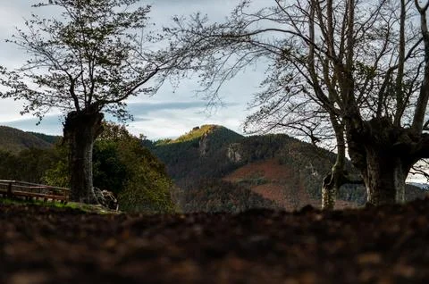 Summit of the mountain wrapped by trees Stock Photos