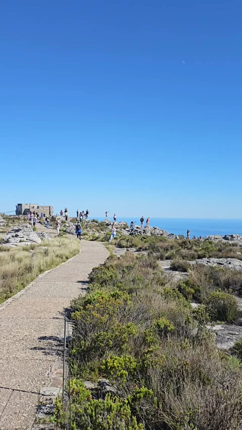 Summit Path, Table Mountain, Cape Town, South Africa – Vertical 8K Stock Footage 347934058