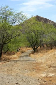 To summit Stock Photos