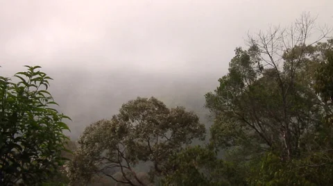 At the summit in the rain forest Stock Footage 41382231