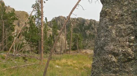 Summit on Side of Meadow Video stock 11808995