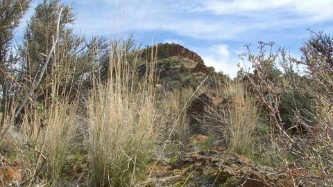 Summit of Sutton mountain Painted Hills Oregon 7 Stock Footage 81894001