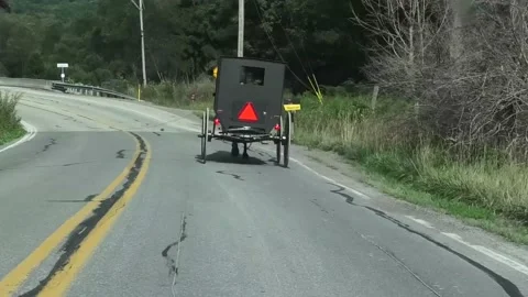 Summit Township, United States-August 23, 2020: Amish Buggy Stock Footage 139727886
