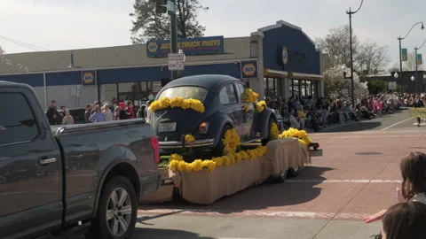 Sumner, WA, USA, April 4, 2026 - Sumner Daffodil Parade - Beer Garden, Food T 14 스톡 동영상 332676676