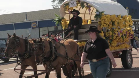 Sumner, WA, USA, April 4, 2026 - Sumner Daffodil Parade - Beer Garden, Food T 22 Video stock 332833442