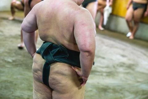 Sumo fighters Stock Photos
