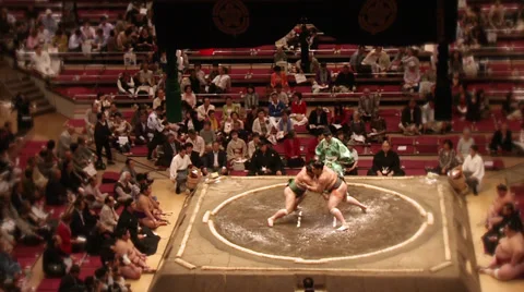 Sumo Stock-Footage 31274223
