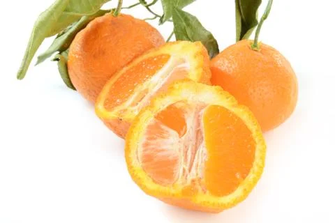 Sumo Oranges Stock Photos