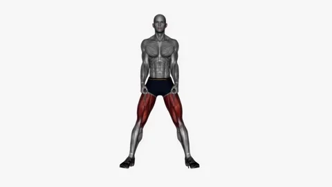 Sumo squat in between legs resistance band fitness exercise workout animation ma 動画素材 243990690