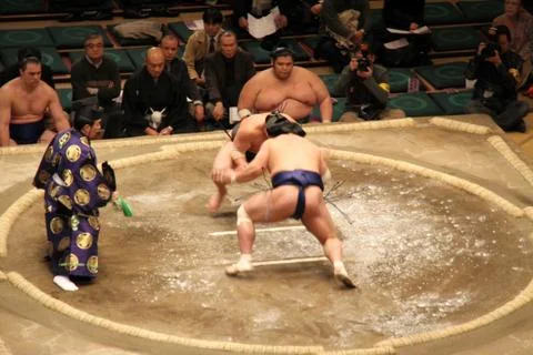 Sumo Wrestlers Stock Photos
