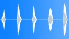 SumoWrestlerVocal5xSound Effect
