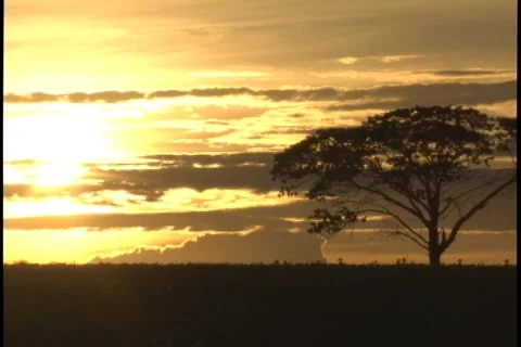 Sun - 0003 Stock Footage 851605