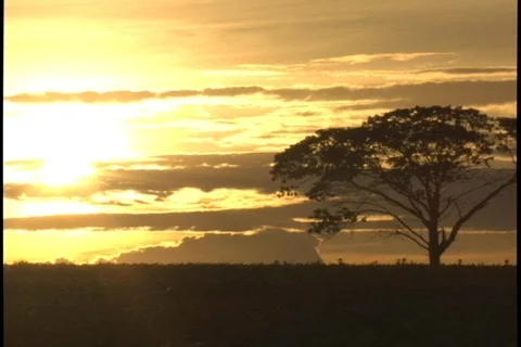 Sun - 0004 Stock Footage 851743