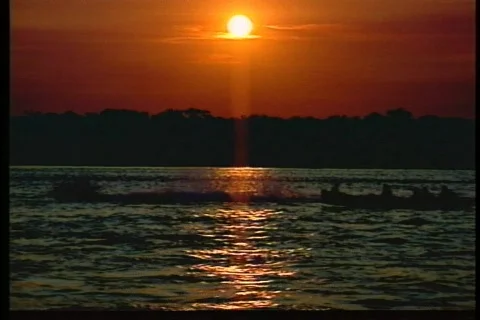 Sun - 0005 库存影片 851616