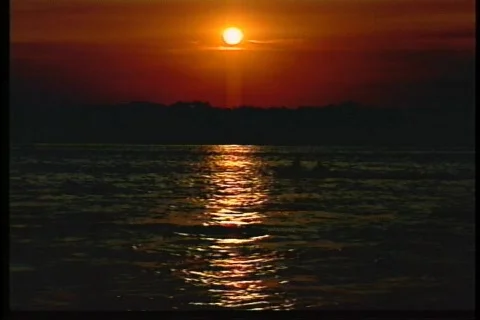 Sun - 0007 Stock Footage 851637