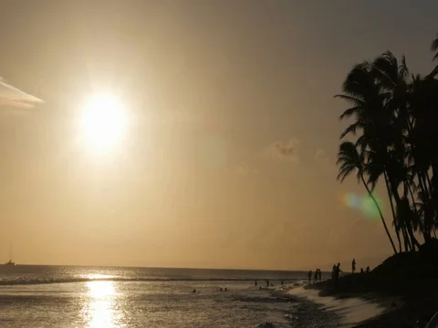Sun About to Set Palm Trees Kaanapali Beach Ocean High Sunset Stockbeeldmateriaal 77191343