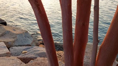 The sun is about to set on the water. Stock Footage 297639916