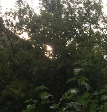 Sun after rain Stock Photos