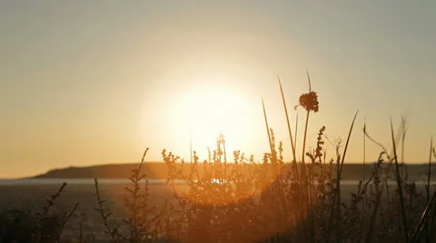 Sun afternoon at the beach Stock Footage 22705105