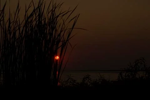 Sun almost totally set through reeds over a lake. Stock Photos