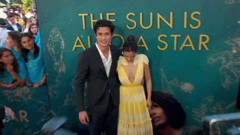 The Sun Is Also A Star Premiere, Los Angeles - 13 May 2019 Stock Footage 205450806