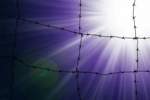 Sun and barbed wire Stock-Fotos