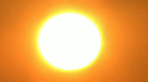 The sun and the birch in contour Stock Footage 10825446
