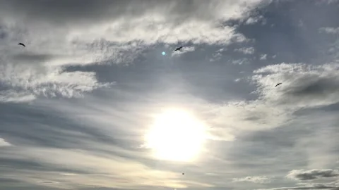 Sun and birds among the clouds Stock Footage 145899126