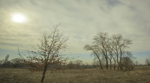 Sun and clouds .4K (38402160)   Time lapse without birds, RAW output Vídeo Stock 48344288