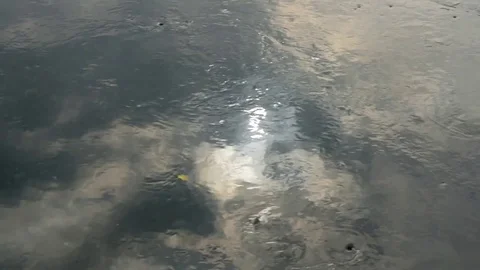 The sun and the clouds are reflected in the waters of the river on an autumn day Stock Footage 83898875