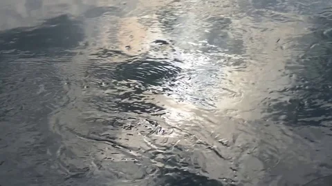 The sun and the clouds are reflected in the waters of the river on an autumn day Stock Footage 83899047