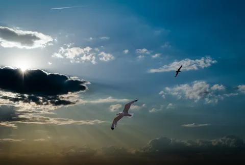 Sun and clouds on a blue sky Stock Photos
