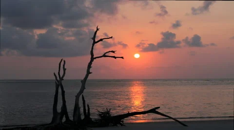 Sun and Clouds in motion during sunrise from a beach Stock Footage 41409787
