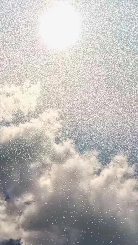 Sun and clouds with shimmering rainfall in bright daytime sky Vidéo 318159011