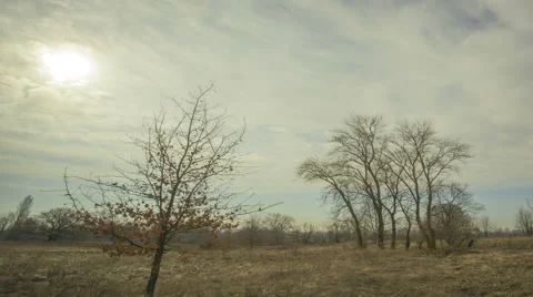 Sun and fast clouds .4K (38402160)   Time lapse without birds, RAW output Vidéo 48344082