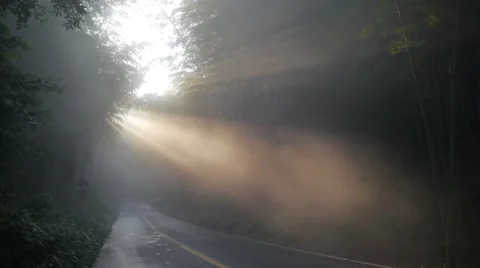 Sun and fog Video stock 67619283