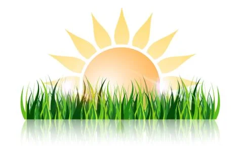 Sun and grass with reflection 스톡 일러스트