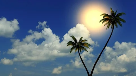Sun and palm trees on the beach near the sea, time-lapse 库存影片 91543121