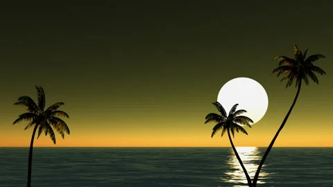 Sun and palm trees on the beach near the sea, time-lapse Stock Footage 91833247