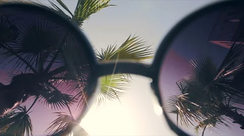 Sun and palm trees through sunglasses Stock Footage 51256067