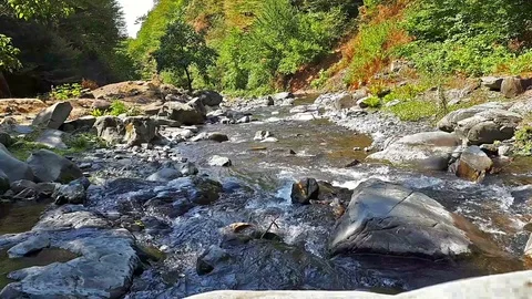 Sun and river Stockbeeldmateriaal 81711434