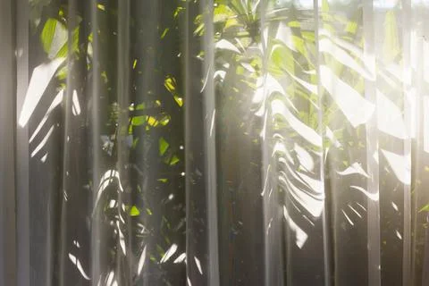 Sun and shade pattern on tulle. Morning sun shine 스톡 사진