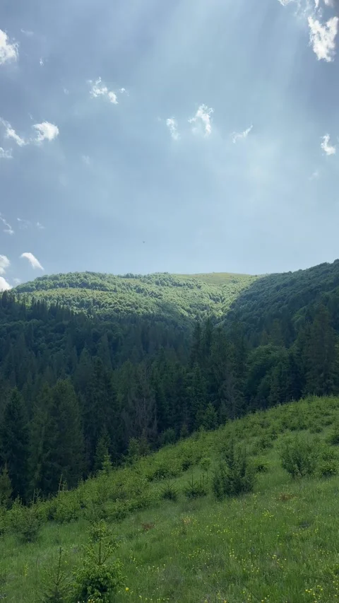 Sun and shadow reflected on the green mountains in summer, Carpathians Stock Footage 314128008