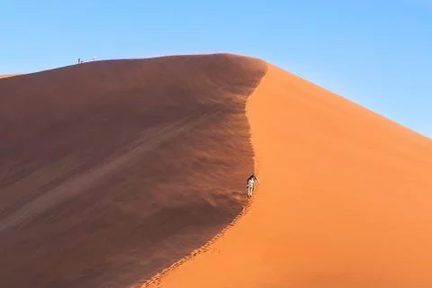 Sun and shadow shot of dune 45 in Namibia Stock Photos
